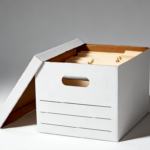 White 20-Pack Collapsible Filing Boxes